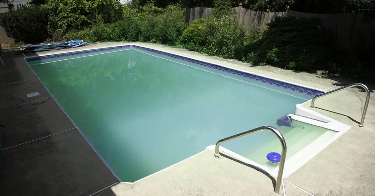 Quali sono le cause delle alghe in piscina? - Baires piscine