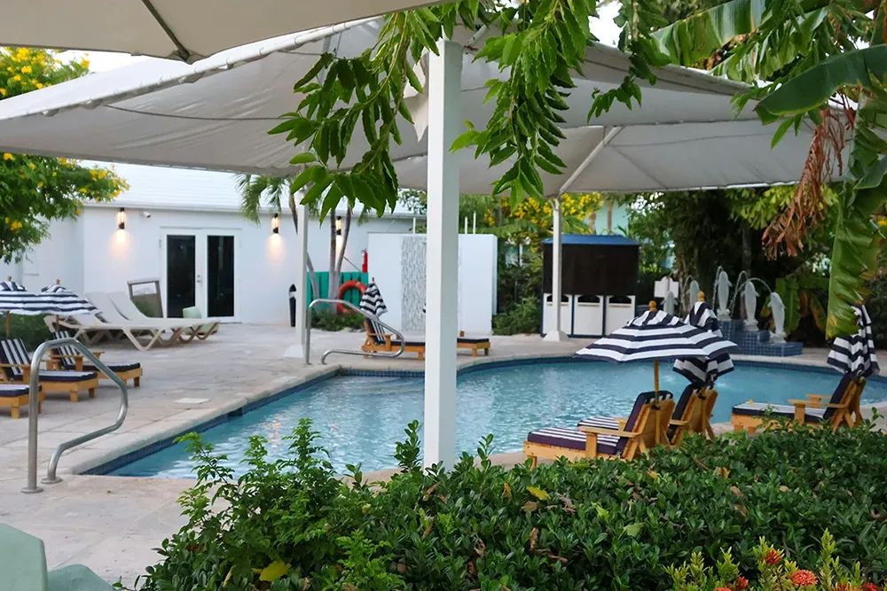 Privacy piscina: alcune soluzioni eleganti ed efficaci - Altre coperture - Baires Piscine