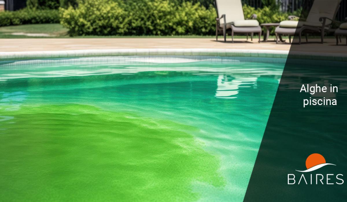 Alghe in piscina: come eliminarle