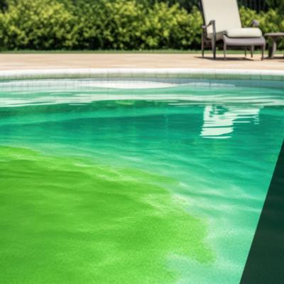 Alghe in piscina: come eliminarle